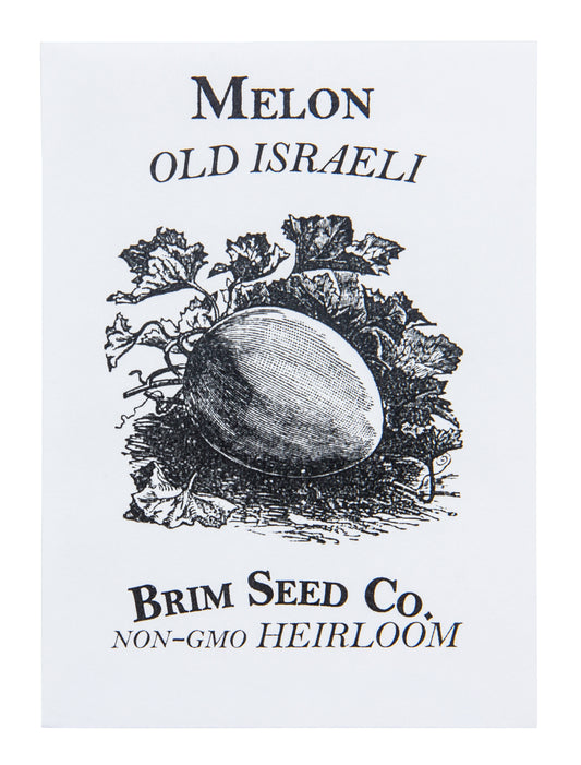 Melon, Old Israeli Heirloom Seed