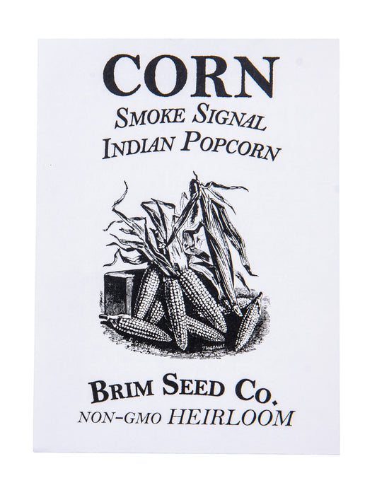 Corn, Smoke Signal Indian Popcorn Heirloom Seed