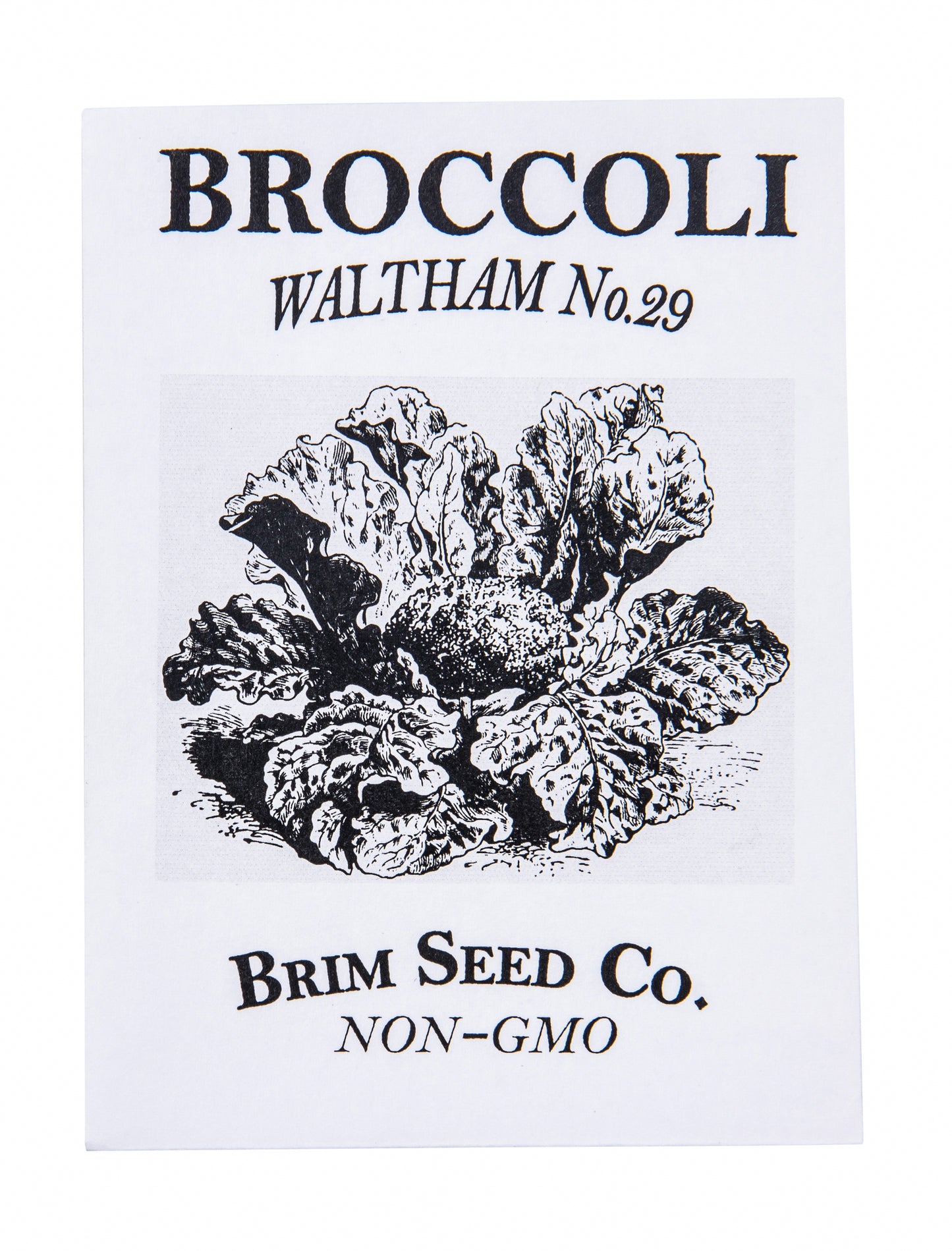 Broccoli, Waltham No.29 Seed