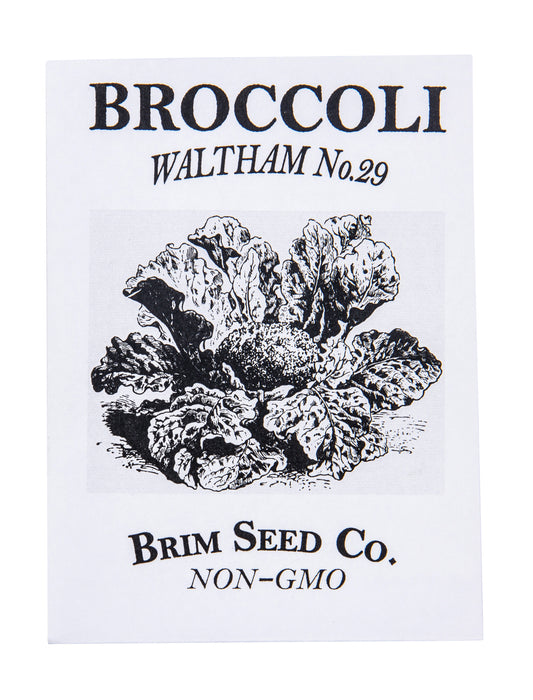 Broccoli, Waltham No.29 Seed