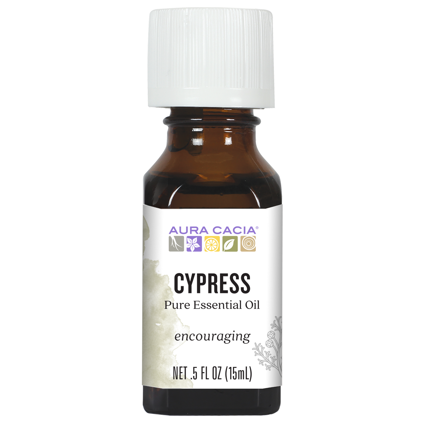 Cypress Essential Oil