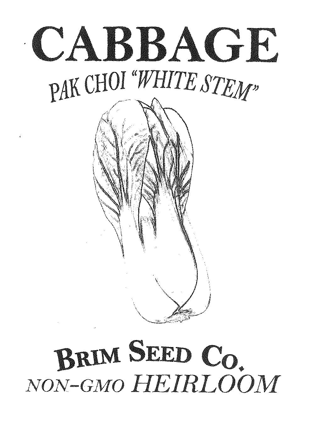 Cabbage, Pak Choi, Heirloom Seed