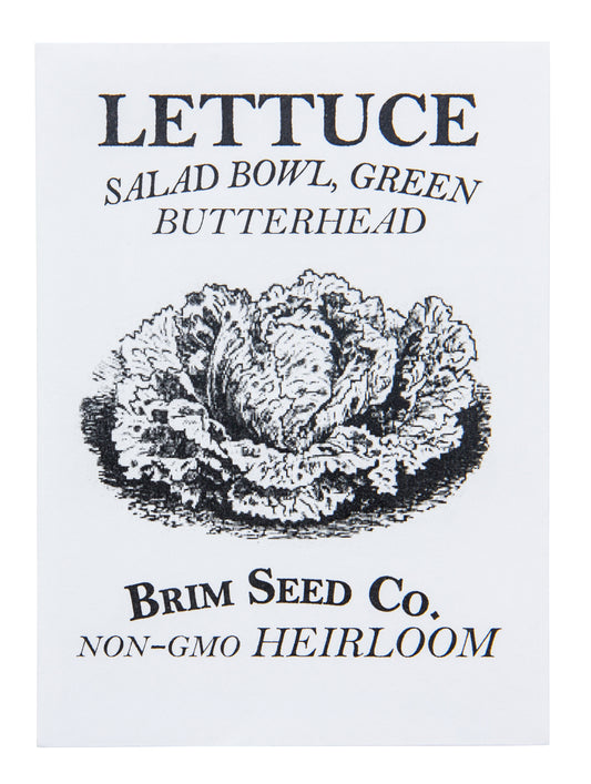 Lettuce, Salad Bowl Green Butterhead Heirloom Seed