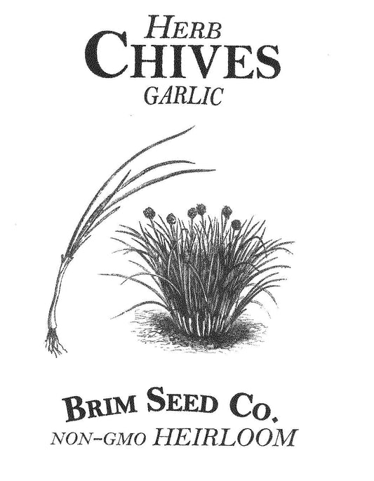 Herb, Chives, Garlic, Heirloom Seed