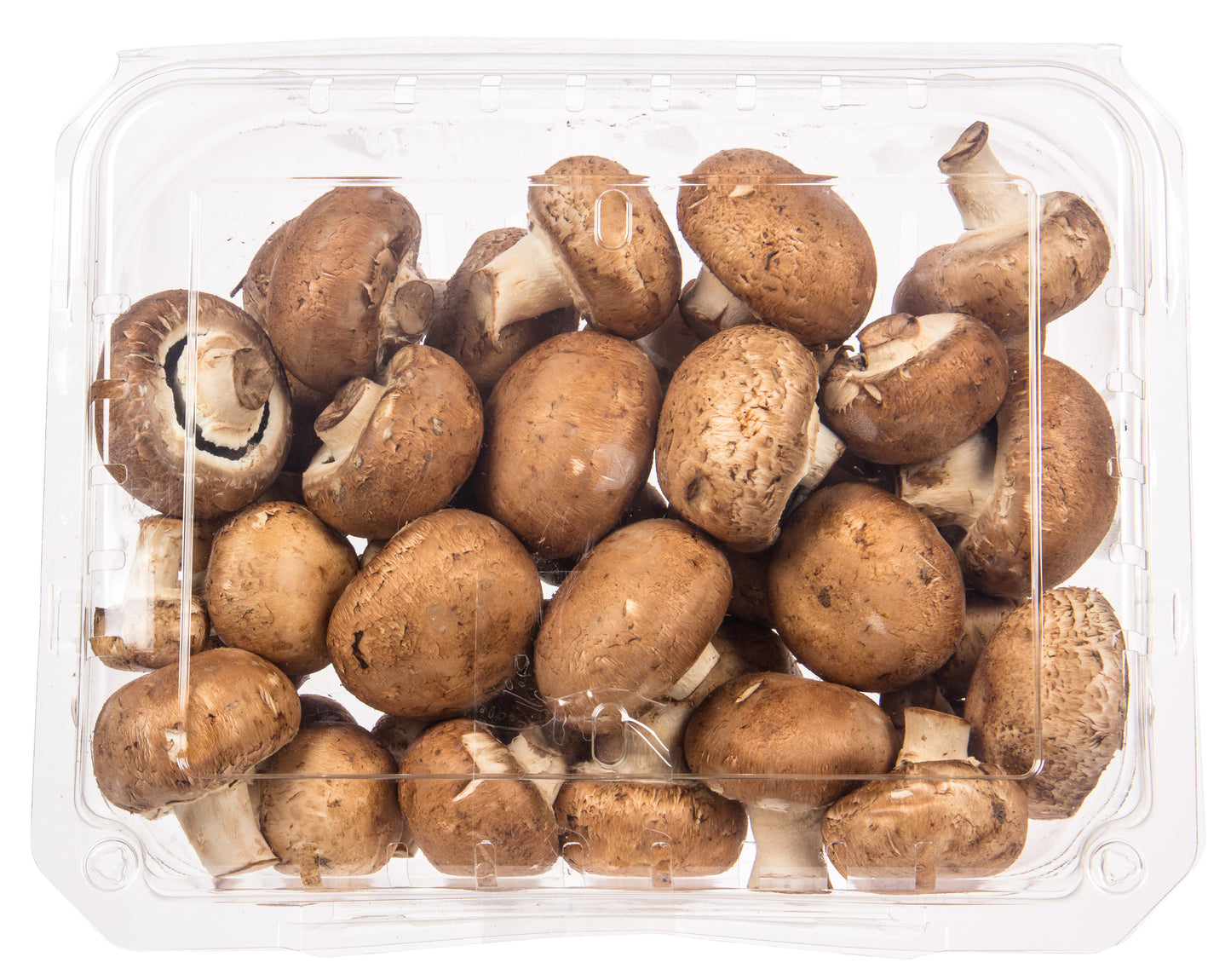 Mushrooms, Crimini Organic