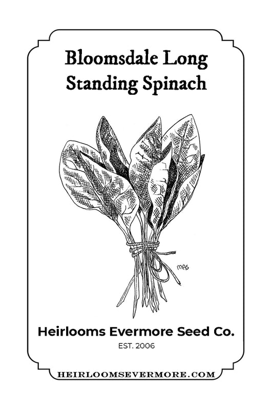 Bloomsdale Long Standing Spinach Seeds