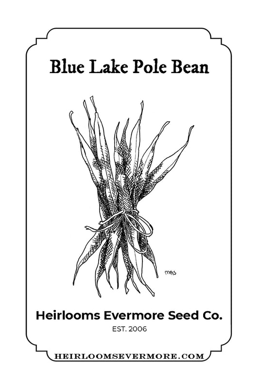 Blue Lake Pole Bean Seeds