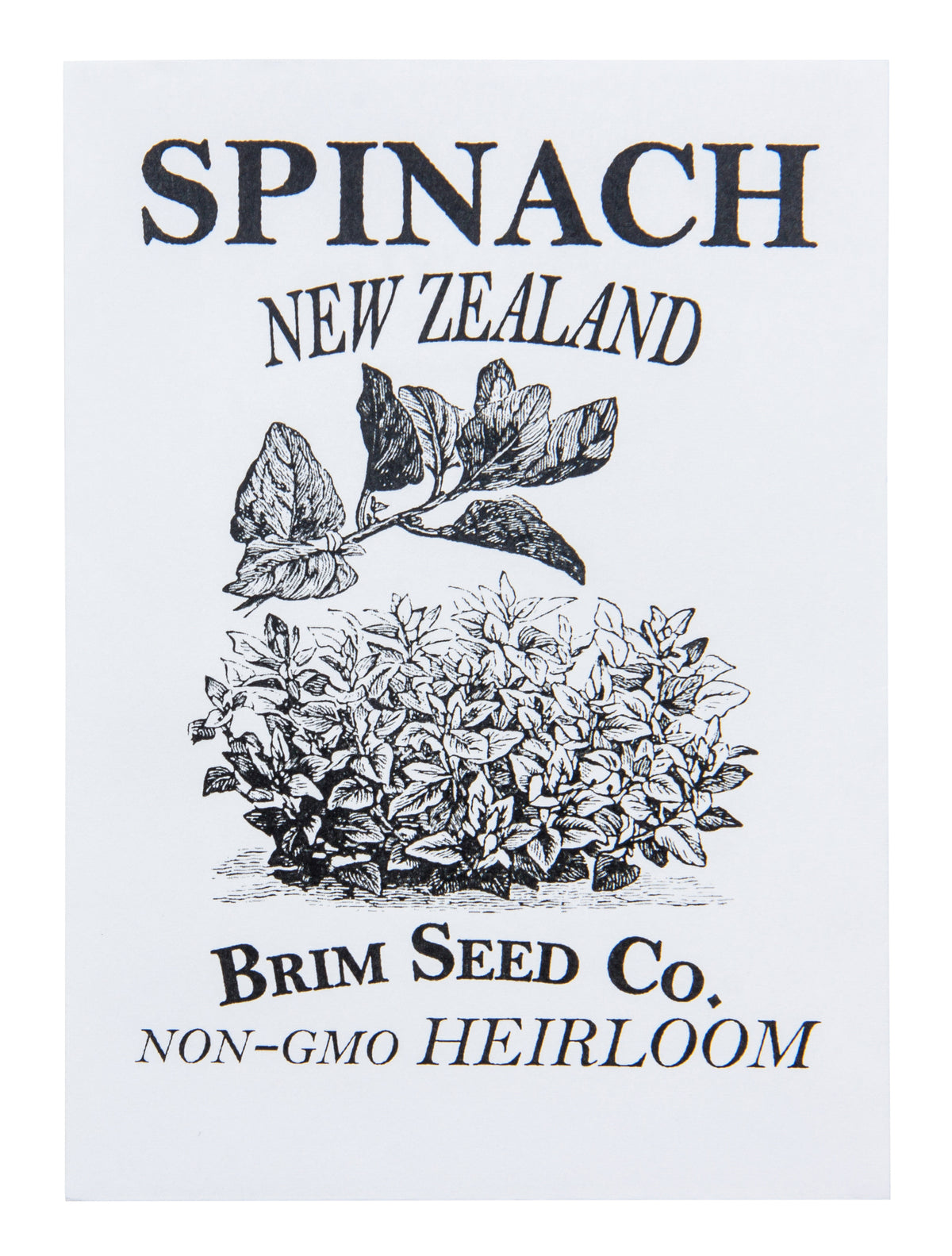 Spinach, New Zealand Heirloom Seed