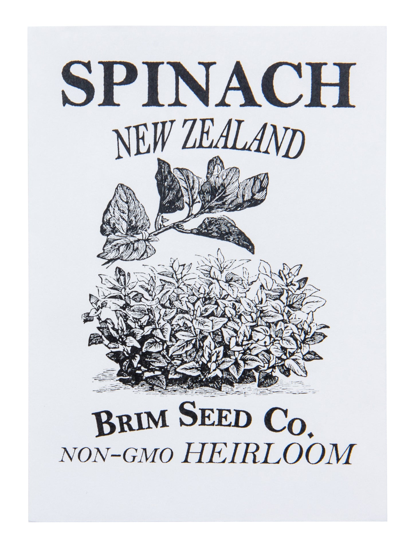 Spinach, New Zealand Heirloom Seed
