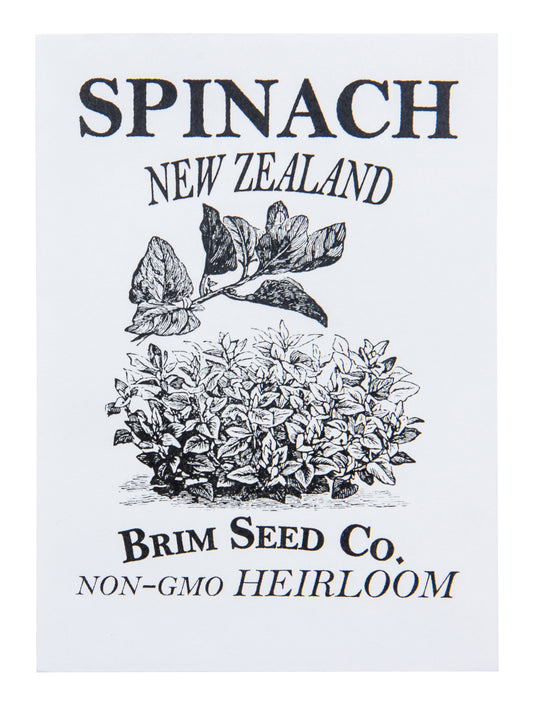 Spinach, New Zealand Heirloom Seed