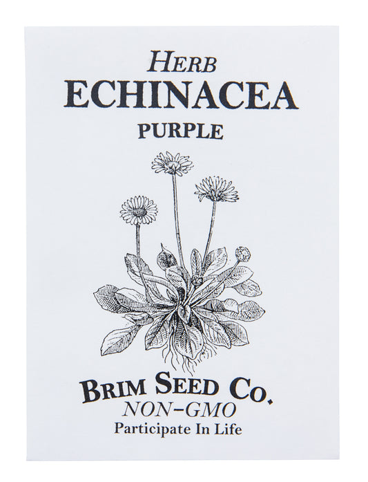 Herb, Echinacea Purple Seed