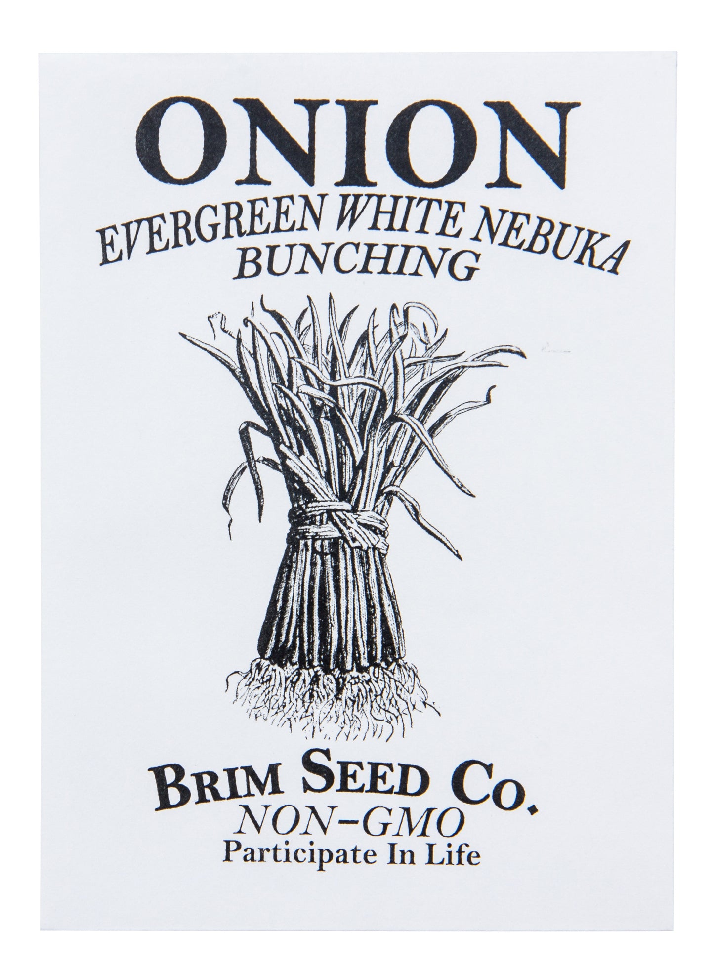 Onion, Evergreen White Nebuka Bunching Seed