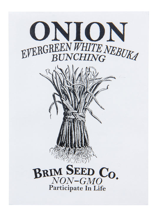 Onion, Evergreen White Nebuka Bunching Seed