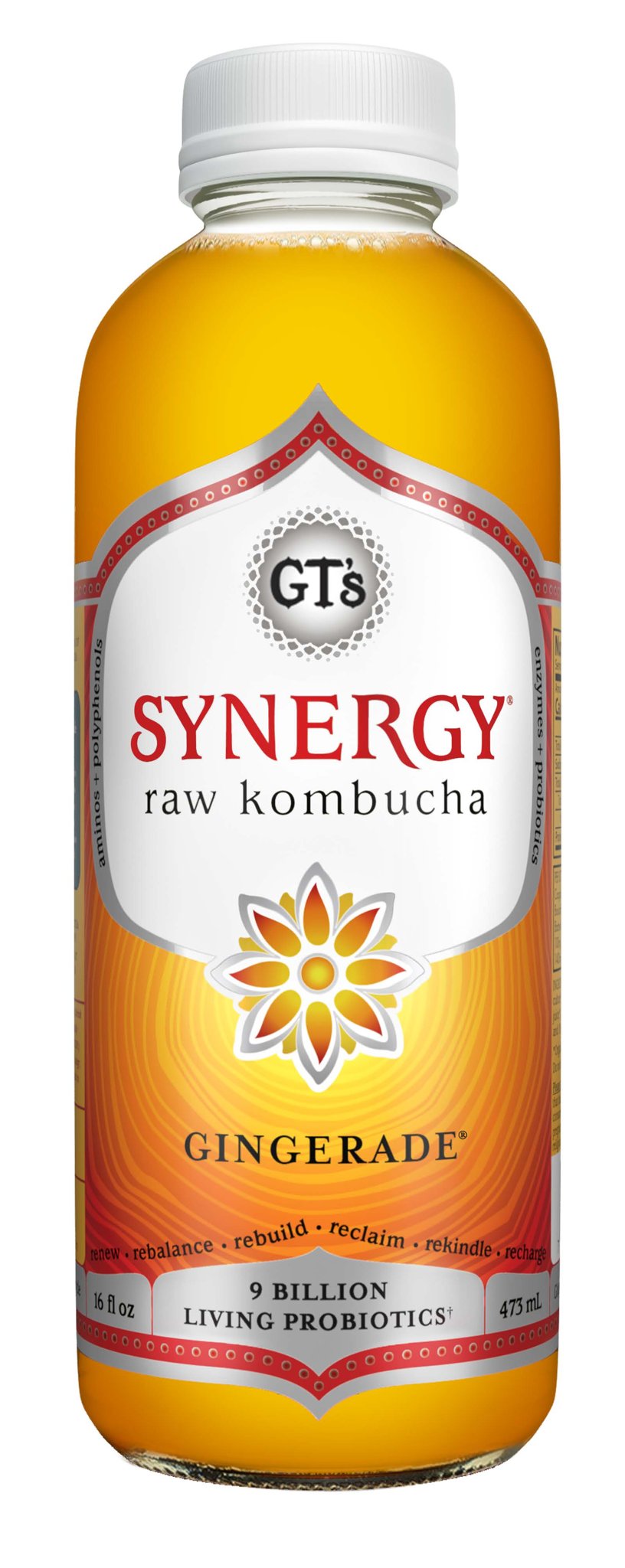 SYNERGY, Kombucha Raw, Gingerade