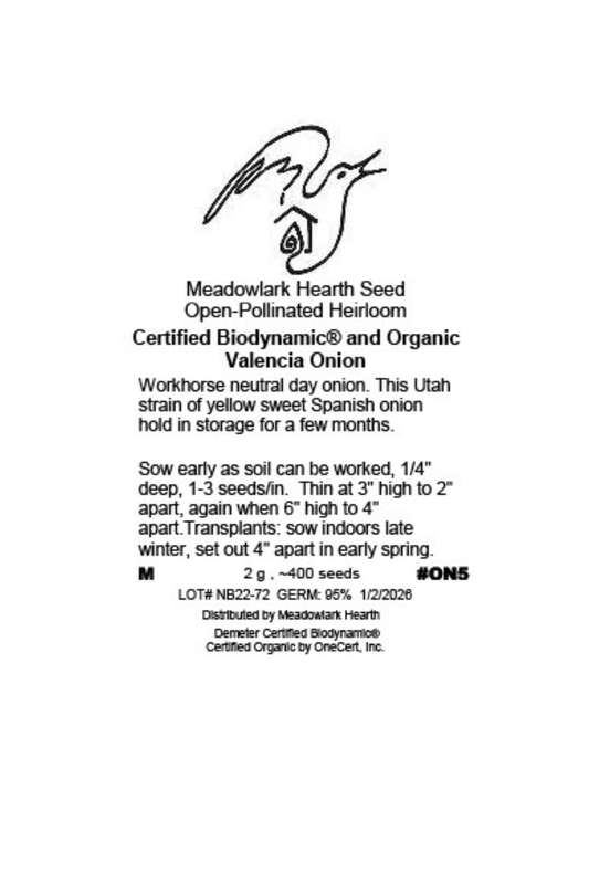 Onion Seed, Valencia, Organic