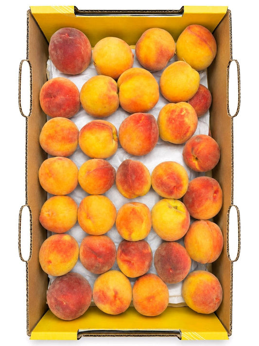 Peaches, Yellow Transitional