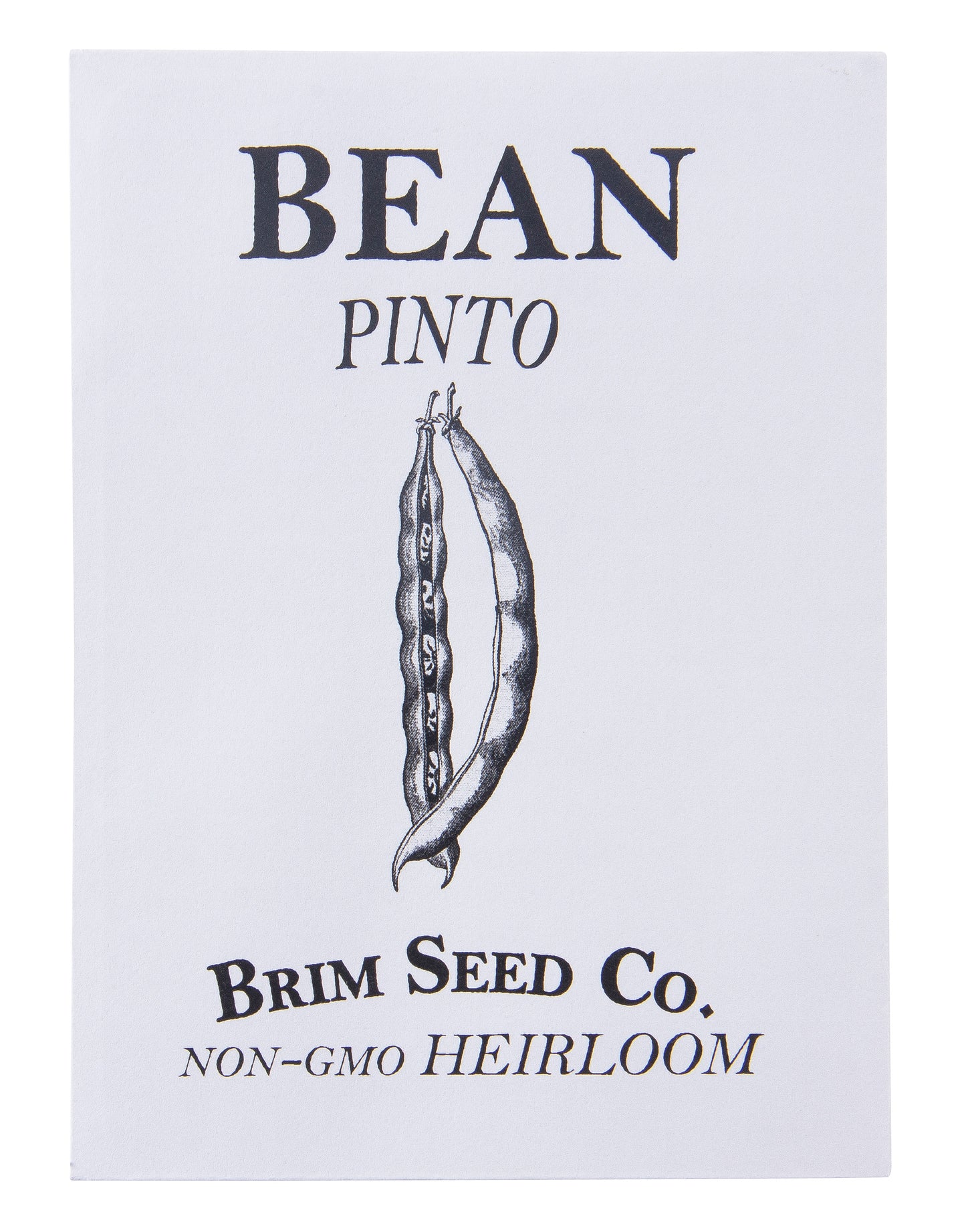 Bean. Pinto Heirloom Seed