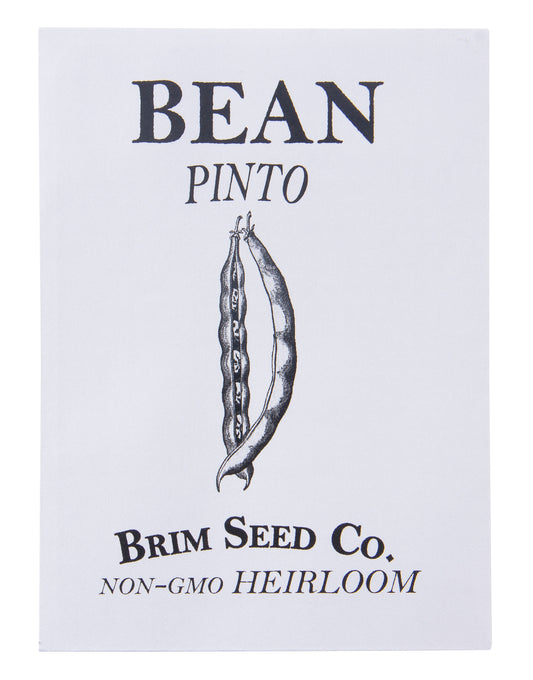 Bean. Pinto Heirloom Seed
