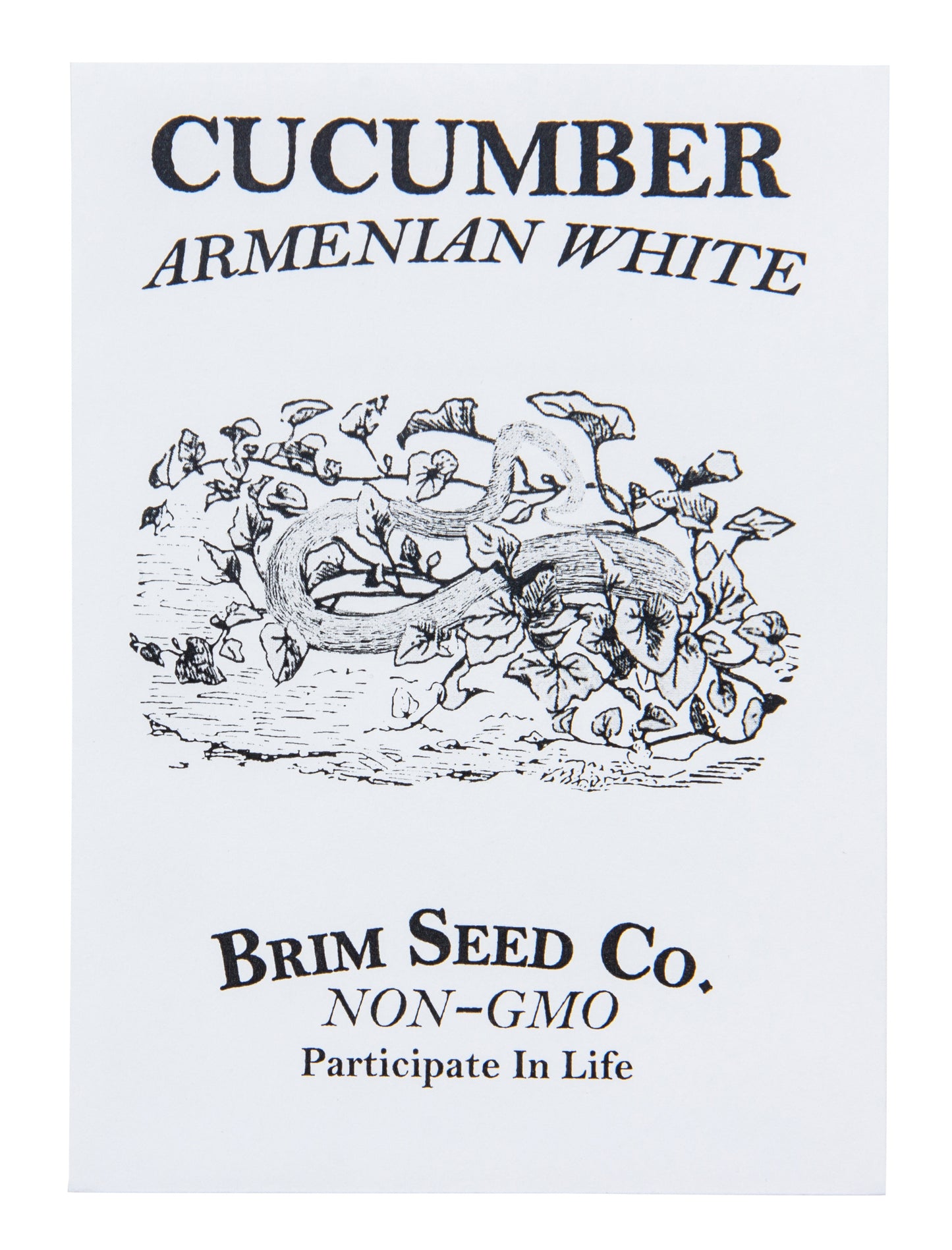 Cucumber, Armenian White Seed