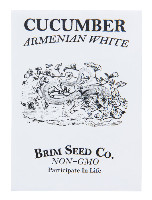 Cucumber, Armenian White Seed