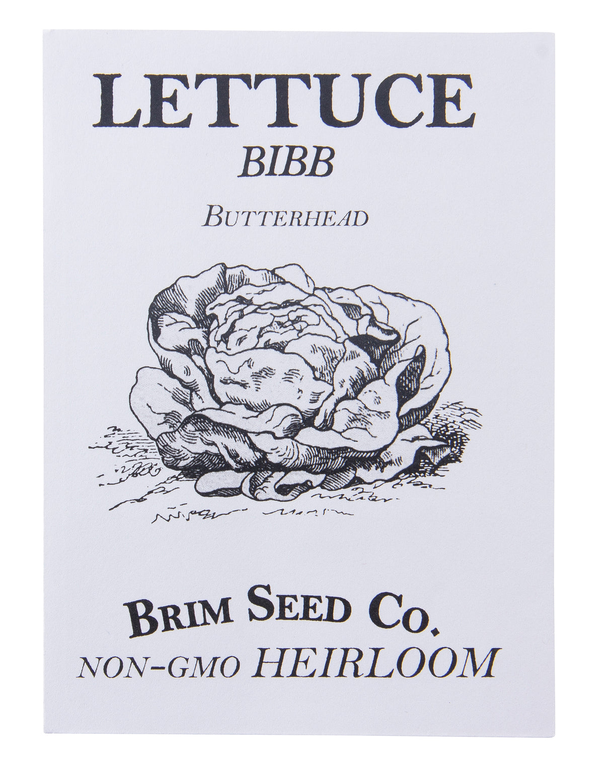 Lettuce, Bibb, Butterhead Heirloom Seed