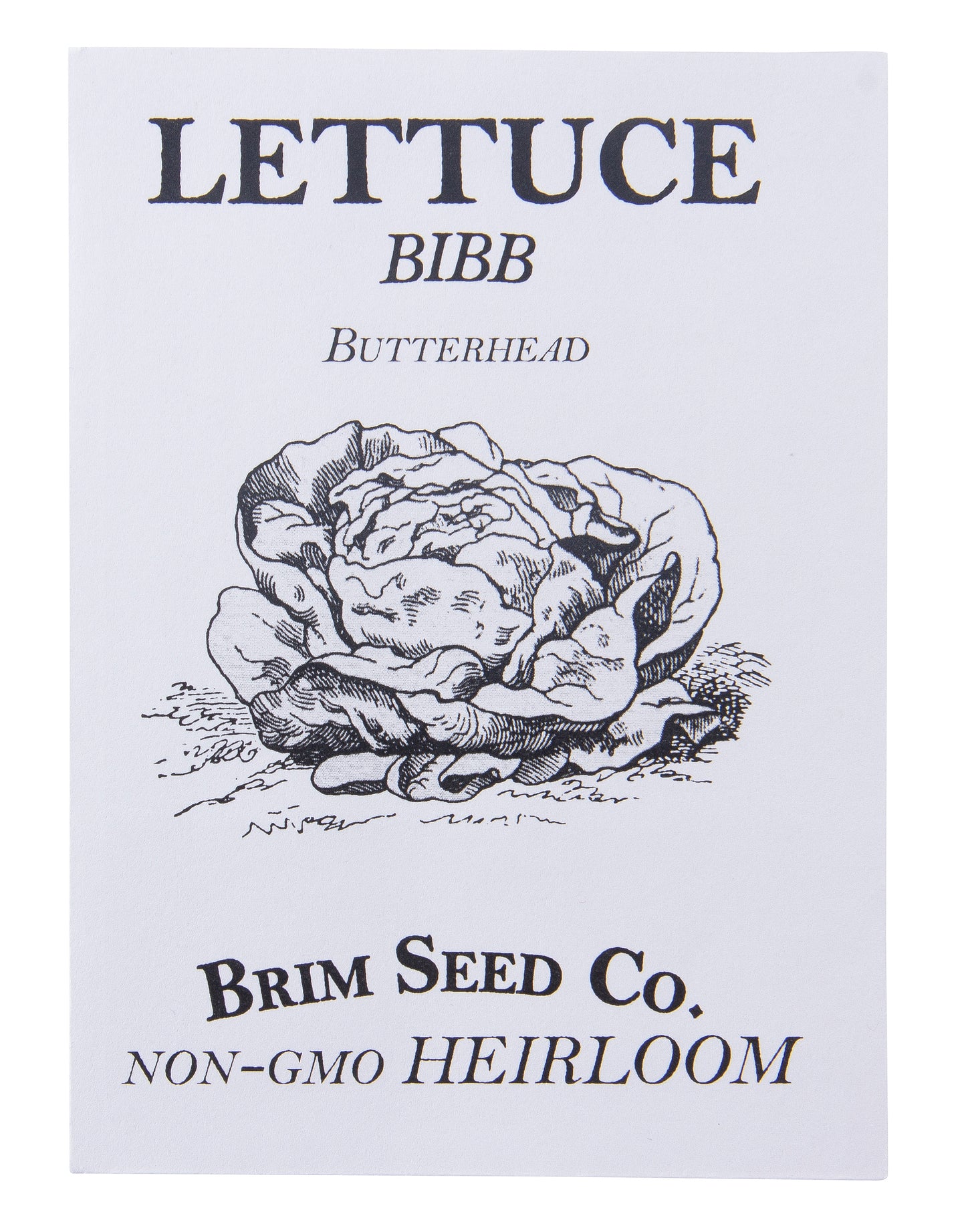 Lettuce, Bibb, Butterhead Heirloom Seed