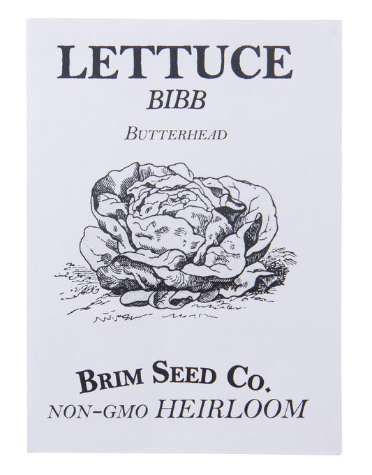 Lettuce, Bibb, Butterhead Heirloom Seed