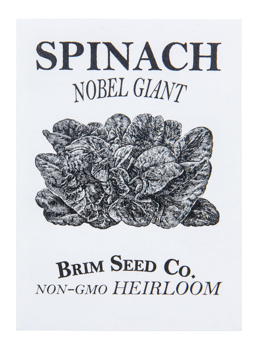 Spinach, Nobel Giant Heirloom Seed