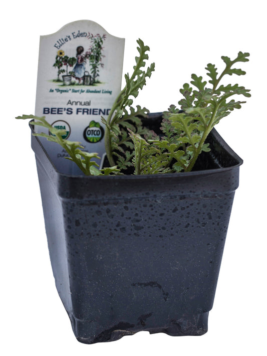 Bee's Friend, Organic