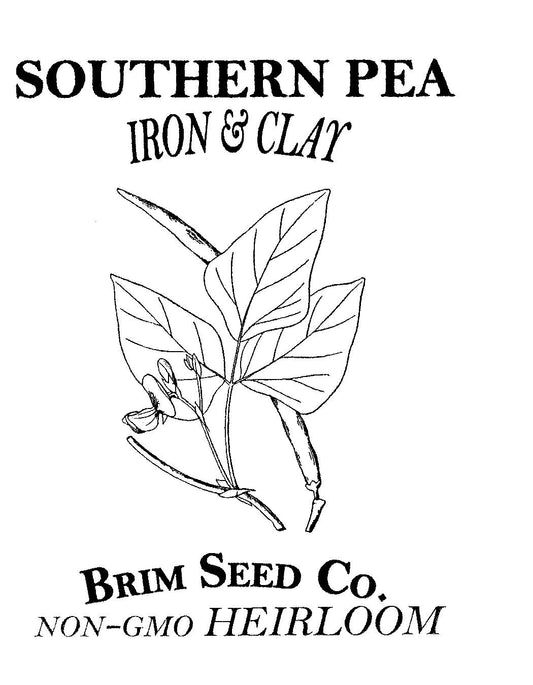 Southern Pea, Iron & Clay, Heirloom Seed