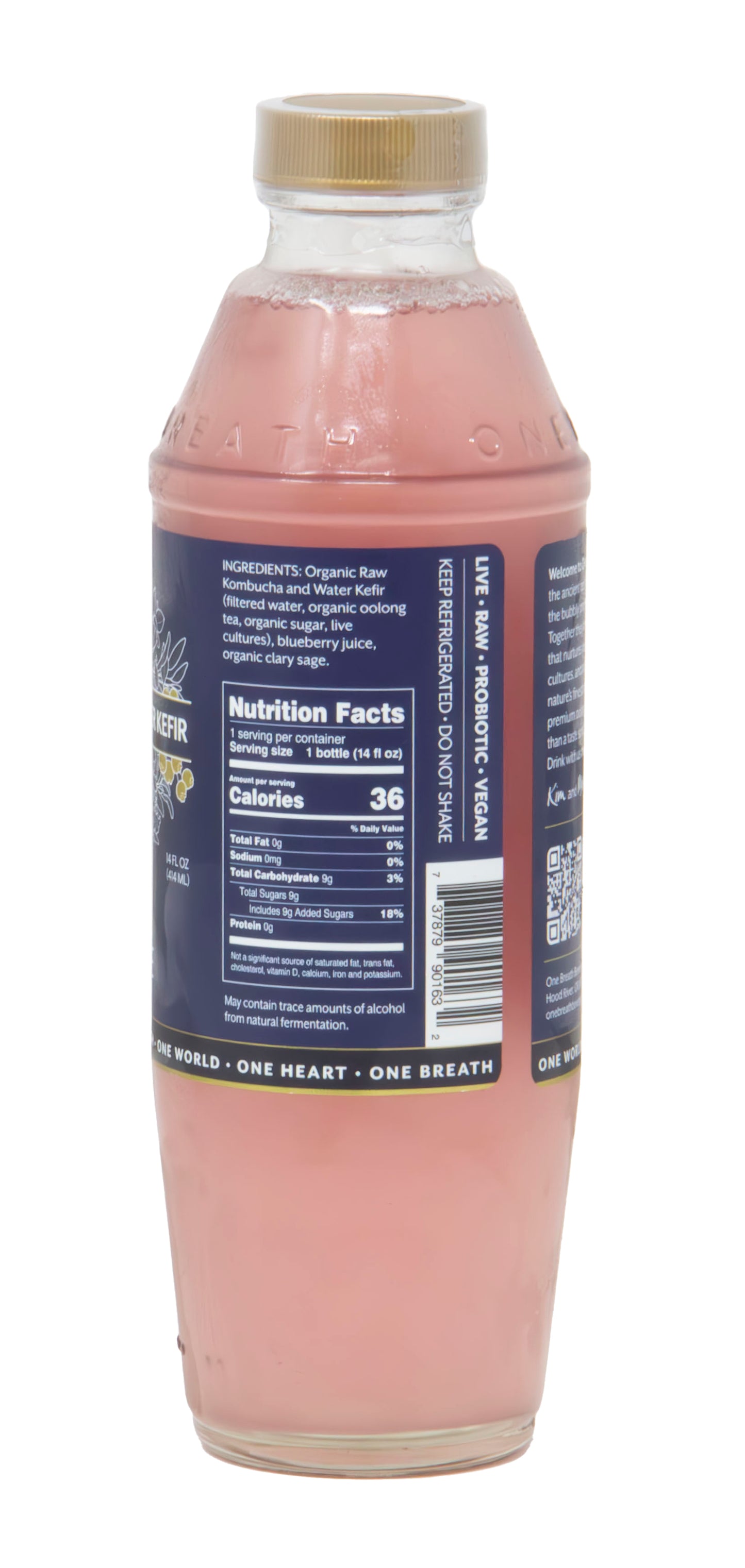 Kombucha & Kefir Water, Blueberry & Sage, beTrue