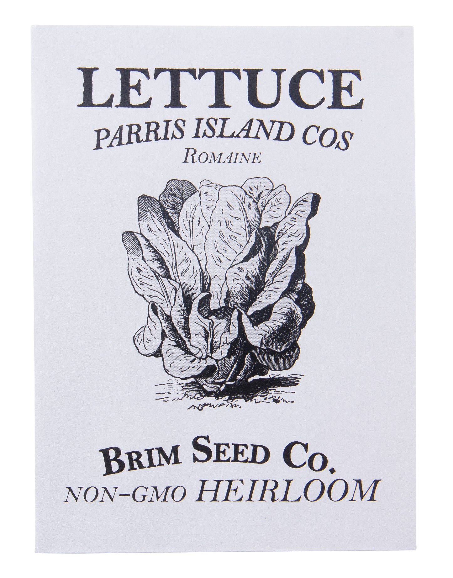 Lettuce, Parris Island Cos, Romaine Heirloom Seed