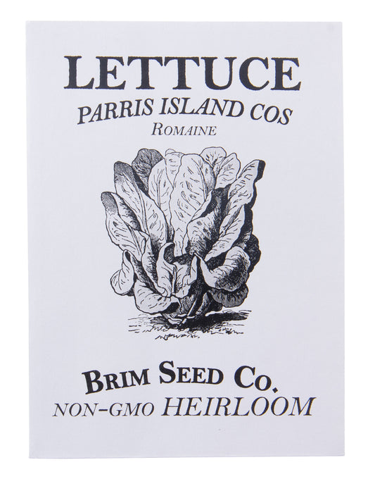 Lettuce, Parris Island Cos, Romaine Heirloom Seed