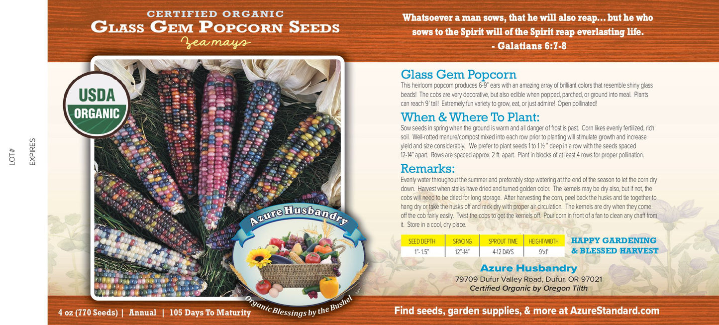 Glass Gem Popcorn Seed, Organic