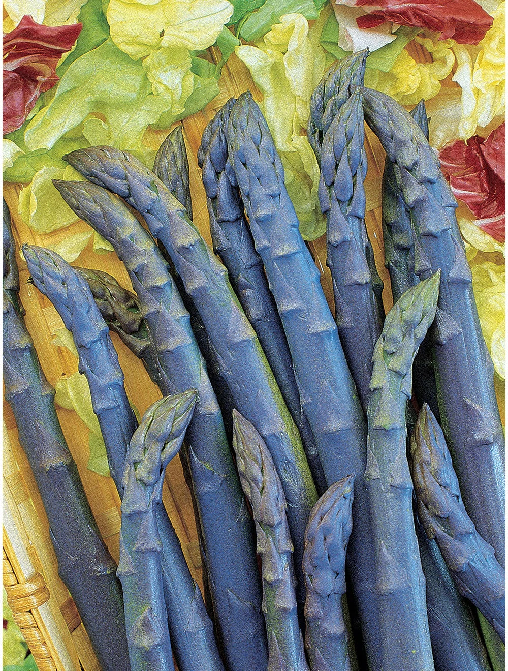 Asparagus, Red, Organic