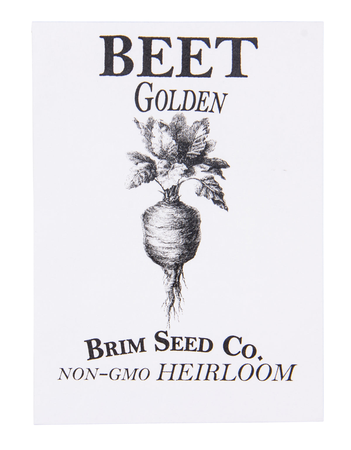Beet, Golden Heirloom Seed