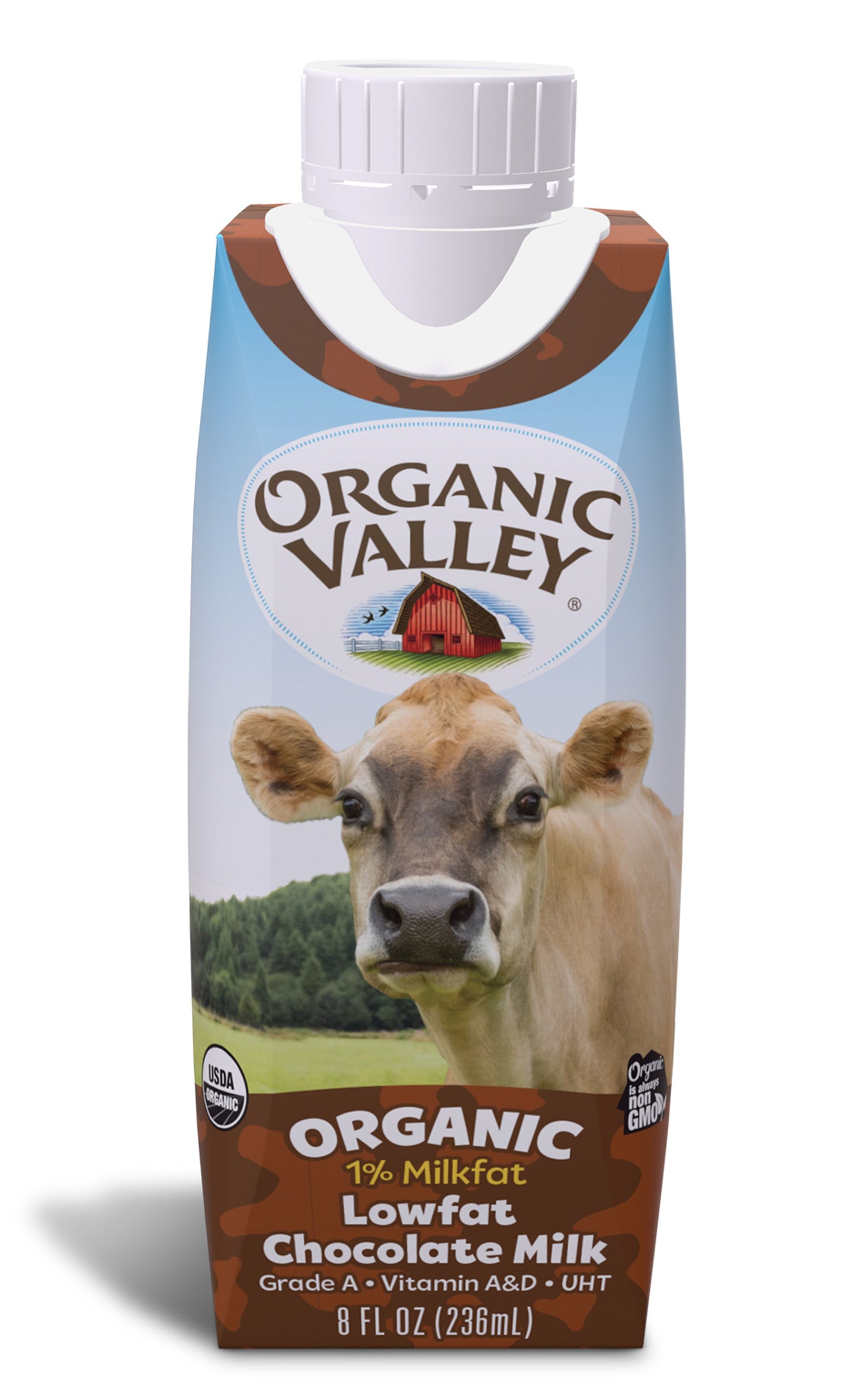 Chocolate Milk, Single Serve, Shelf Stable, Organic