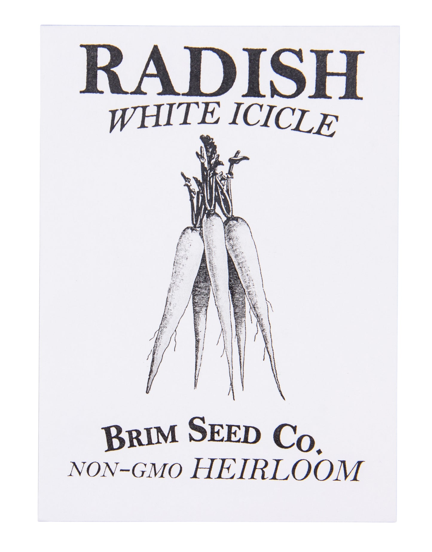 Radish, White Icicle Heirloom Seed