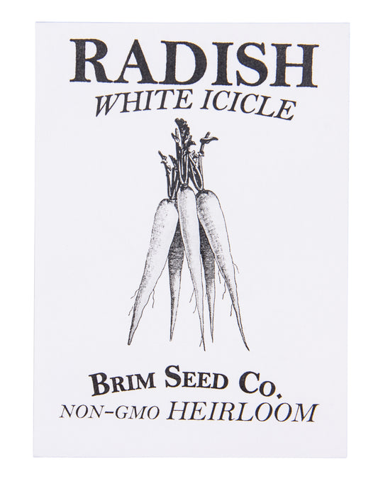 Radish, White Icicle Heirloom Seed