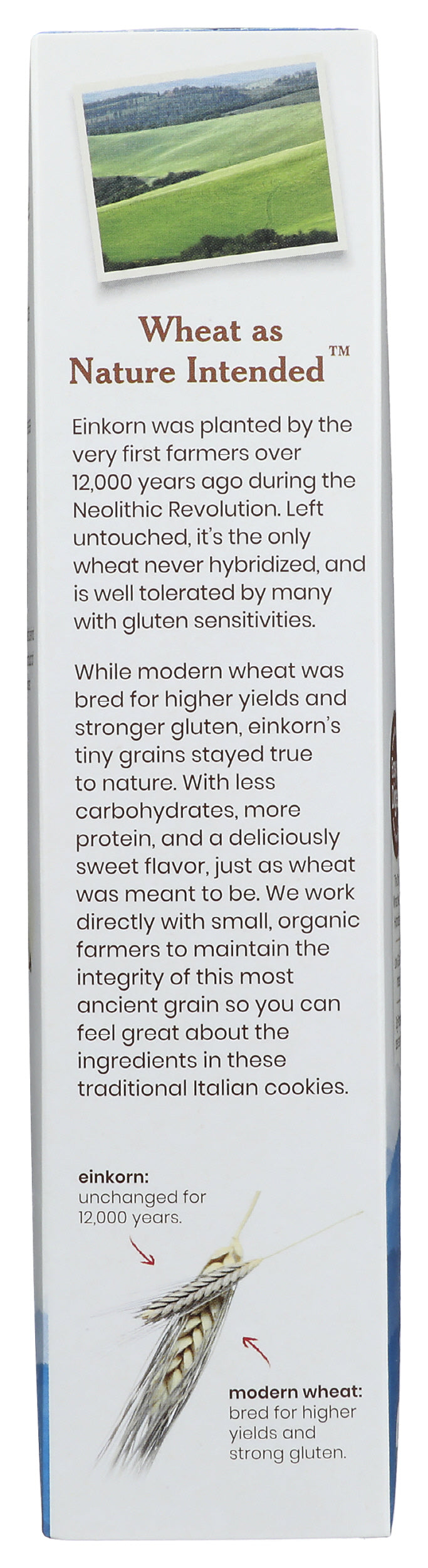 Cookies, Einkorn, Crispy Cocoa, Organic