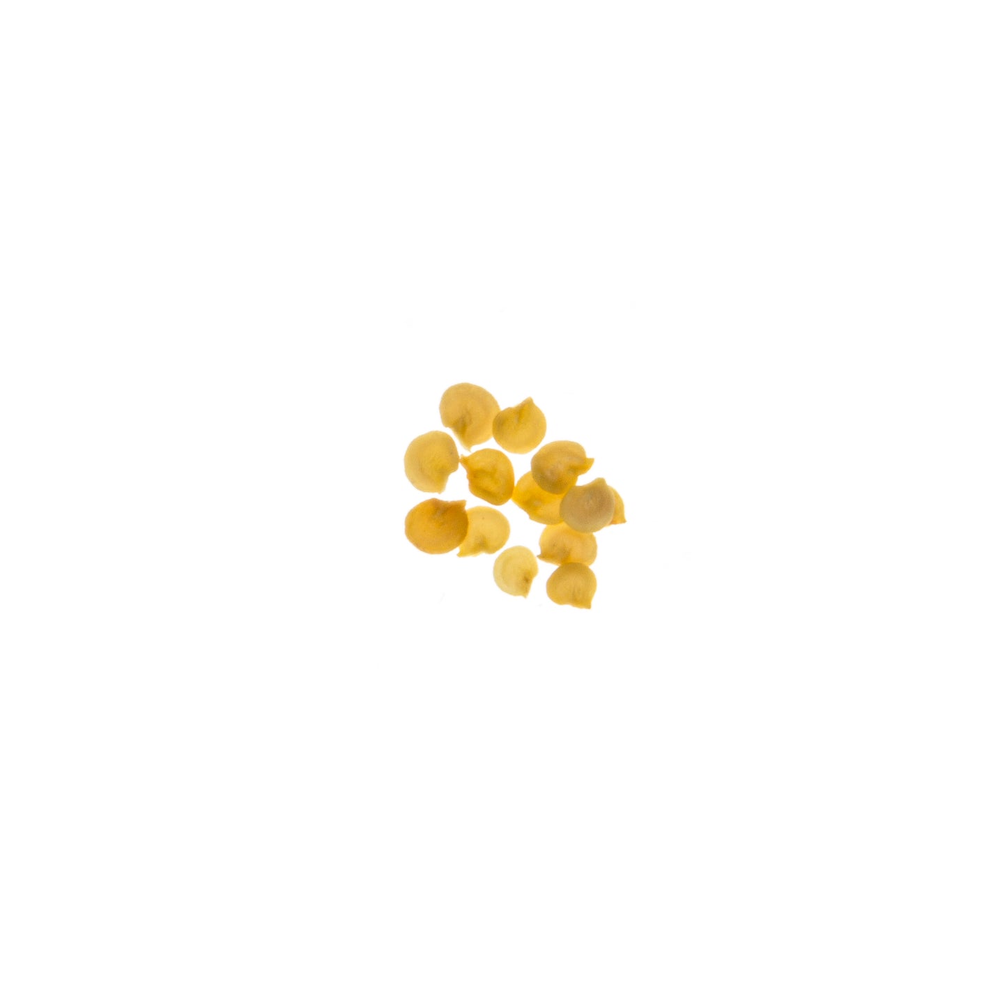 King of the North Pepper Seed, Organic