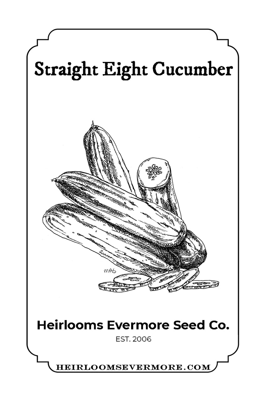 Straight Eight Cucumber Seeds