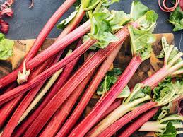 Rhubarb, Organic