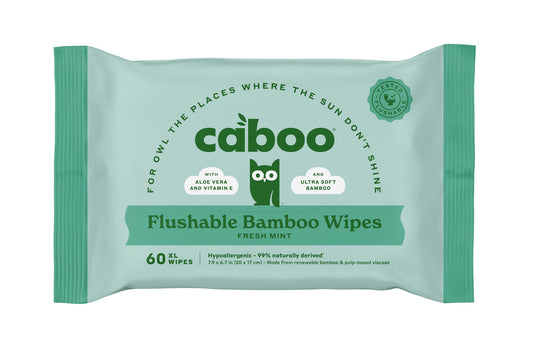 Flushable Wipes, Bamboo, Mint