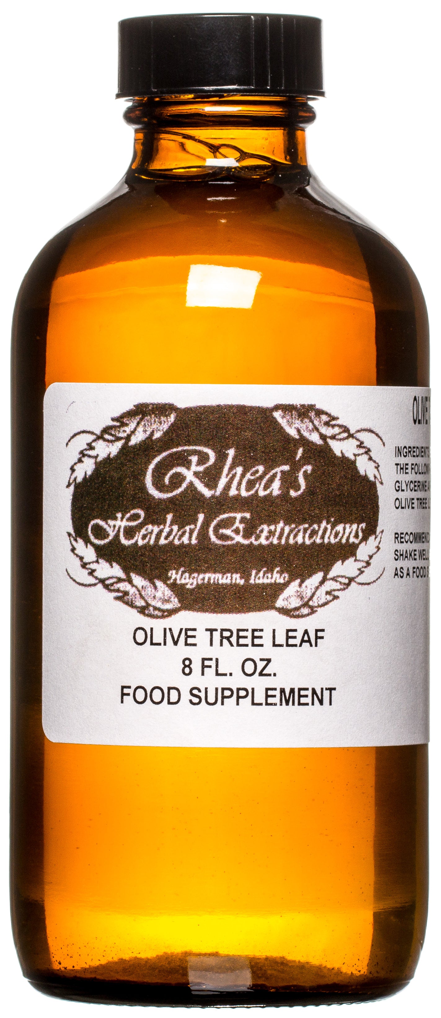 Olive Tree Leaf
