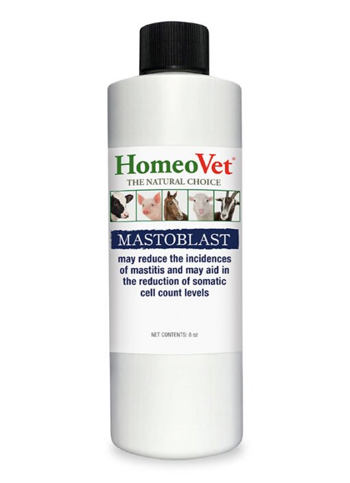 Mastoblast