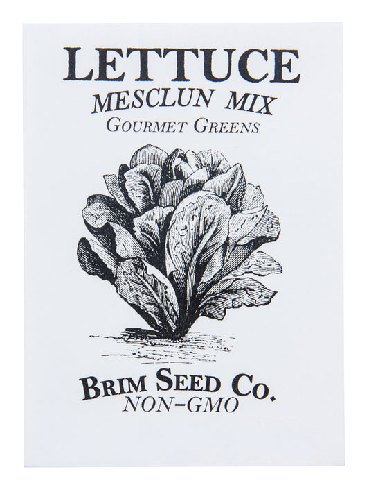 Lettuce, Gourmet Greens Mesclun Mix Seed