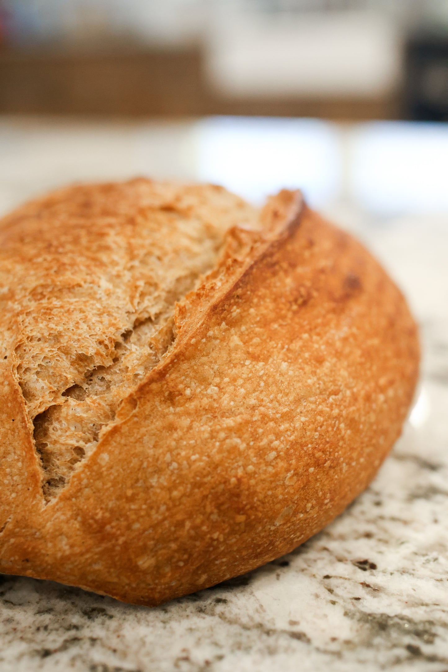 Whole Wheat Sourdough Bread, Sliced, Frozen, Organic