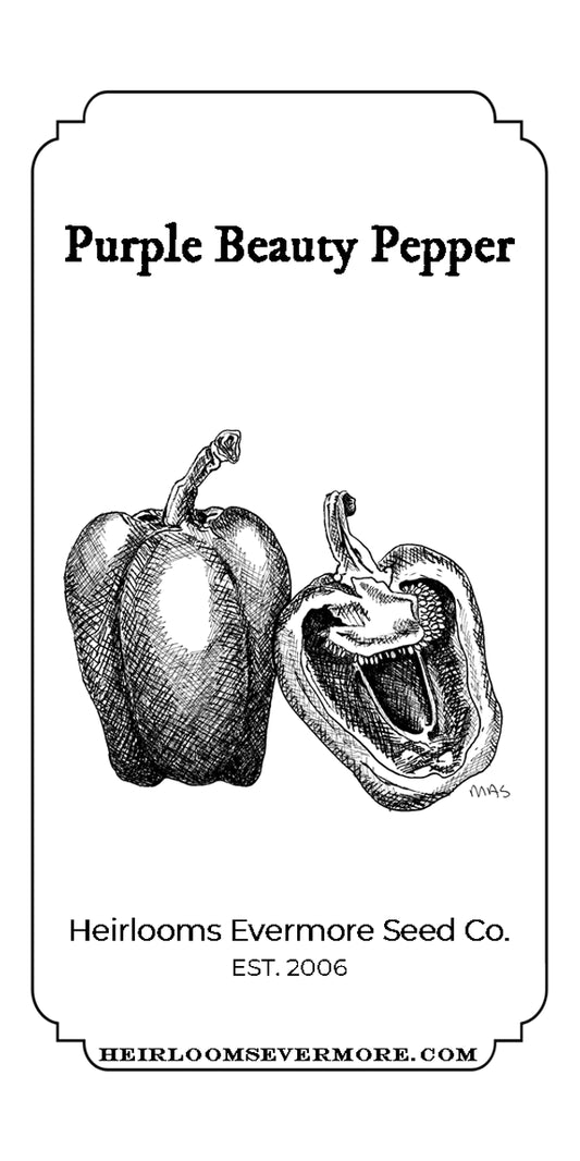Purple Beauty Pepper Seeds