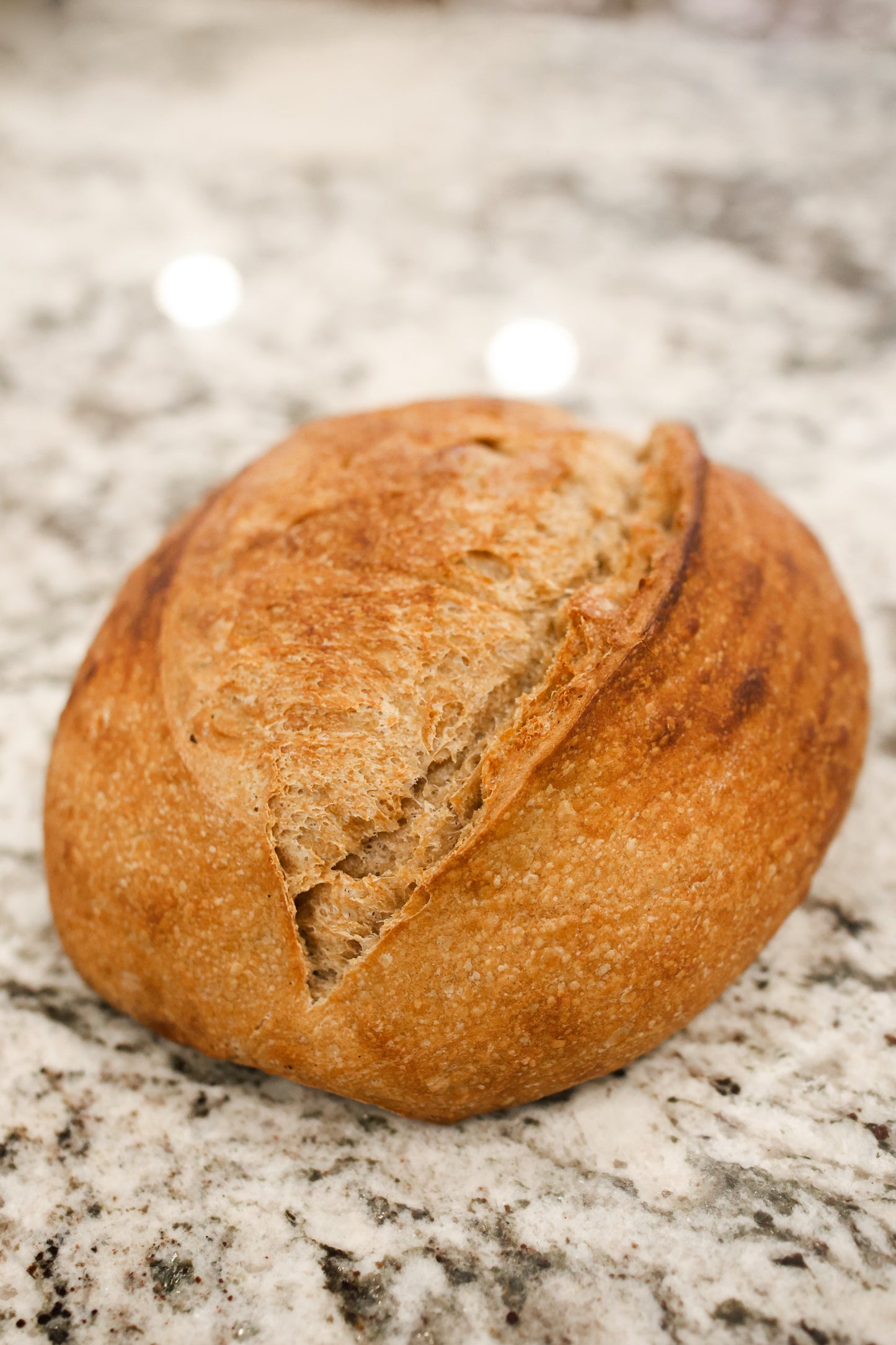 Whole Wheat Sourdough Bread, Frozen, Organic